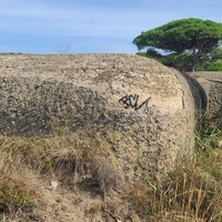 Photo de France - La randonnée de la Tamarissière